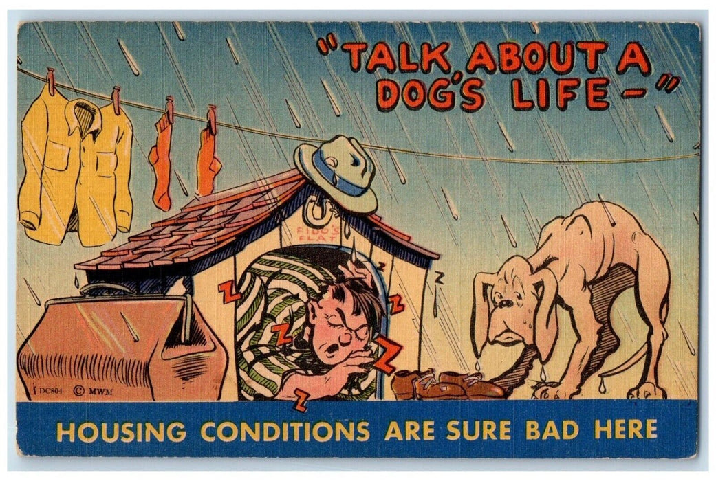 Dog House Man Sleeping Rainy Hanging Clothes Unposted Vintage Postcard