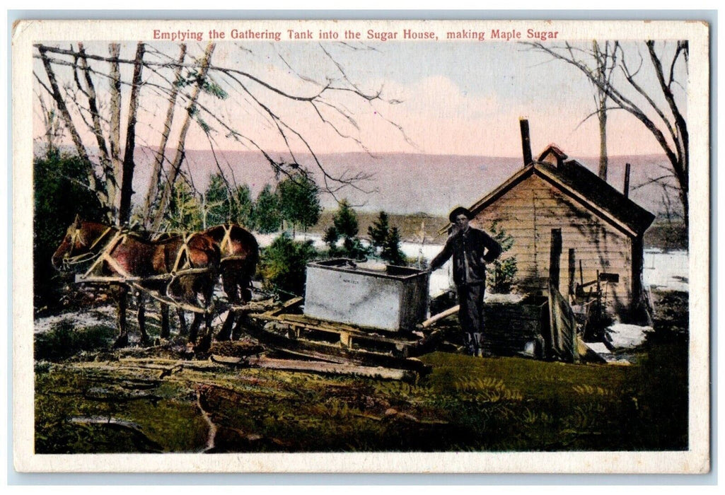 1910 Emptying Gathering Tank Sugar House Maple Sugar Vermont VT Vintage Postcard