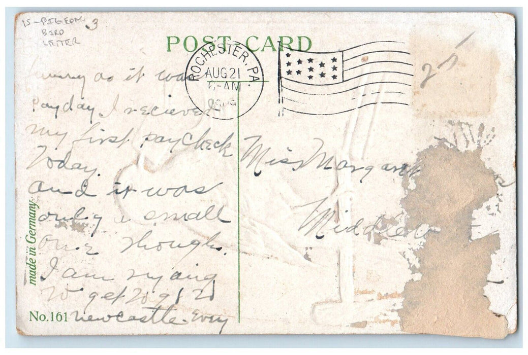 c1910's Birthday Greetings Pigeon Bird Letter Rochester PA Antique Postcard
