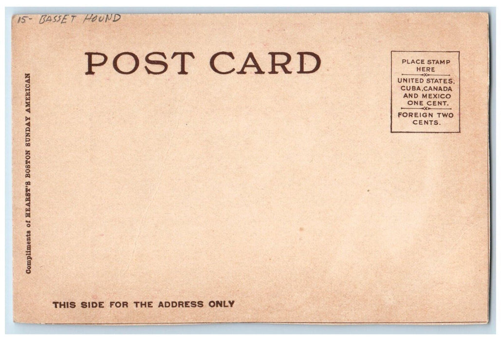 c1905 Anthropomorphic Dog Making A Fool Of Him Basset Hound Antique Postcard