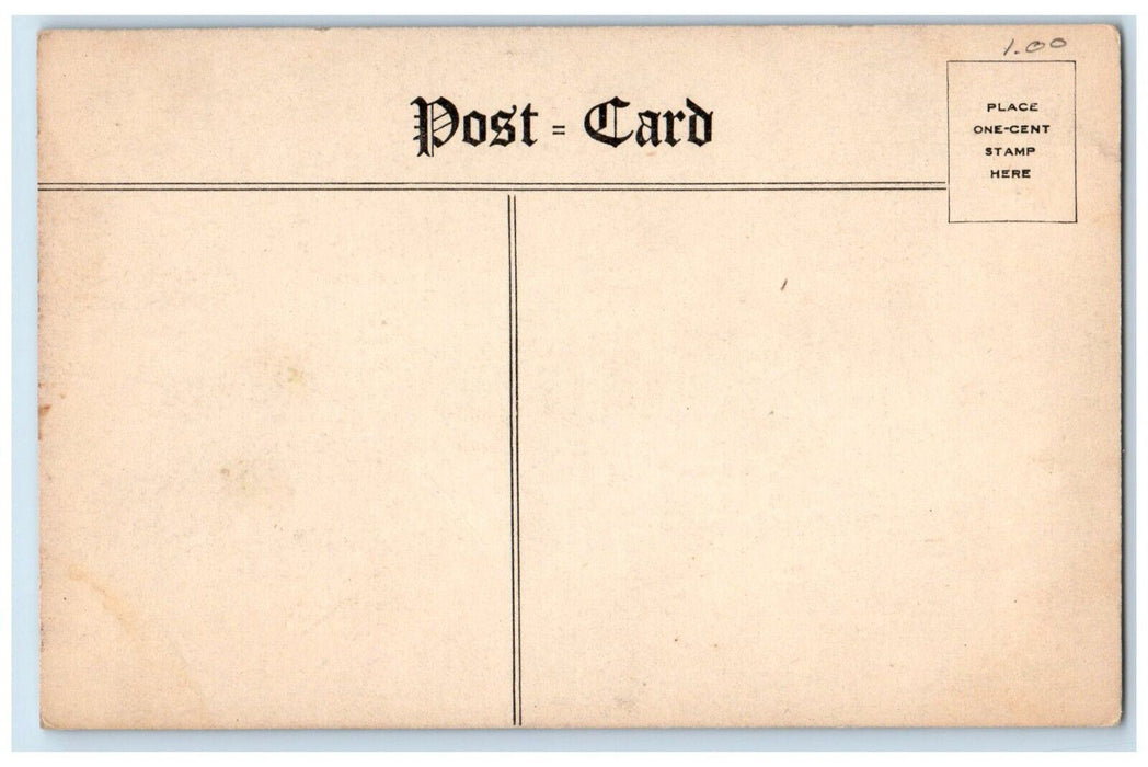 c1910's The Lakeside Boat Eagles Mere Pennsylvania PA Unposted Antique Postcard