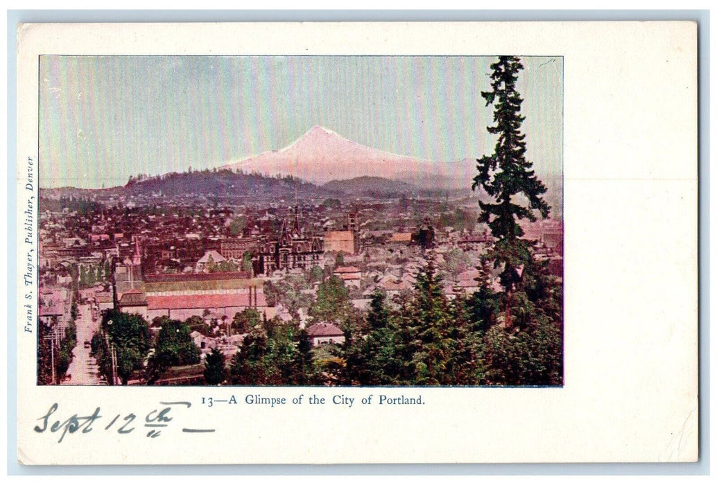 c1905 Birds Eye View A Glimpse Of The City Of Portand Oregon OR Antique Postcard