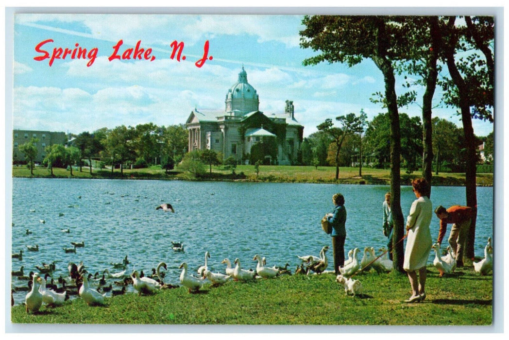 c1950's Feeding Gees Ducks Swans Spring Lake New Jersey NJ Vintage Postcard