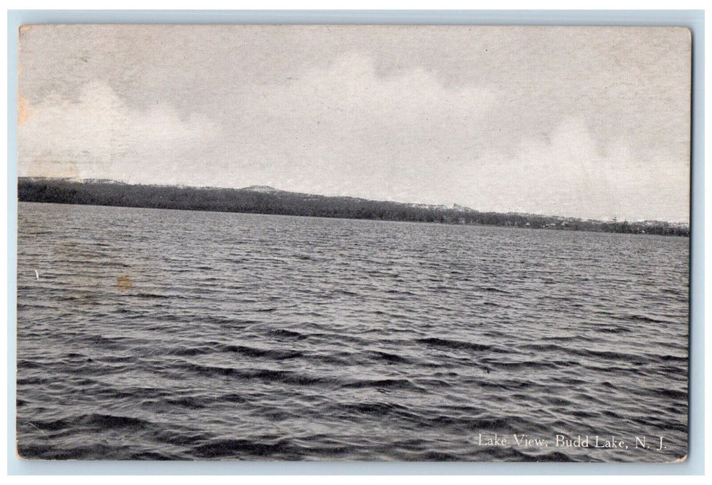 c1910 Lake View Budd Lake New Jersey NJ Antique Posted GV Millar & Co Postcard