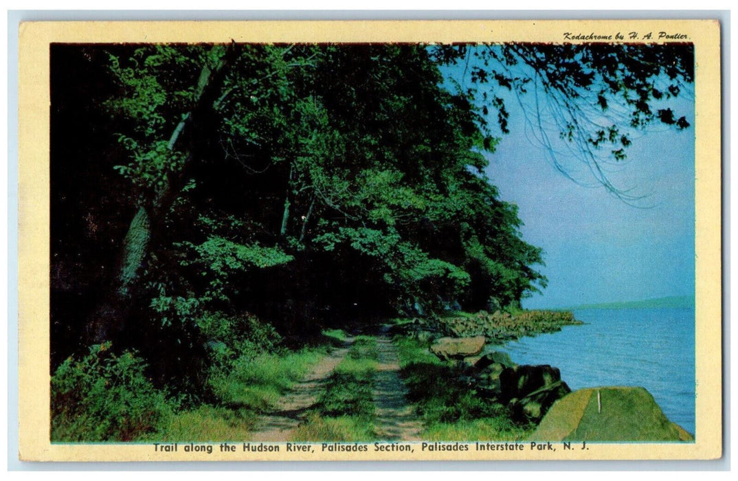 c1960's Trail Along Hudson River Palisades Section Interstate Park NJ Postcard