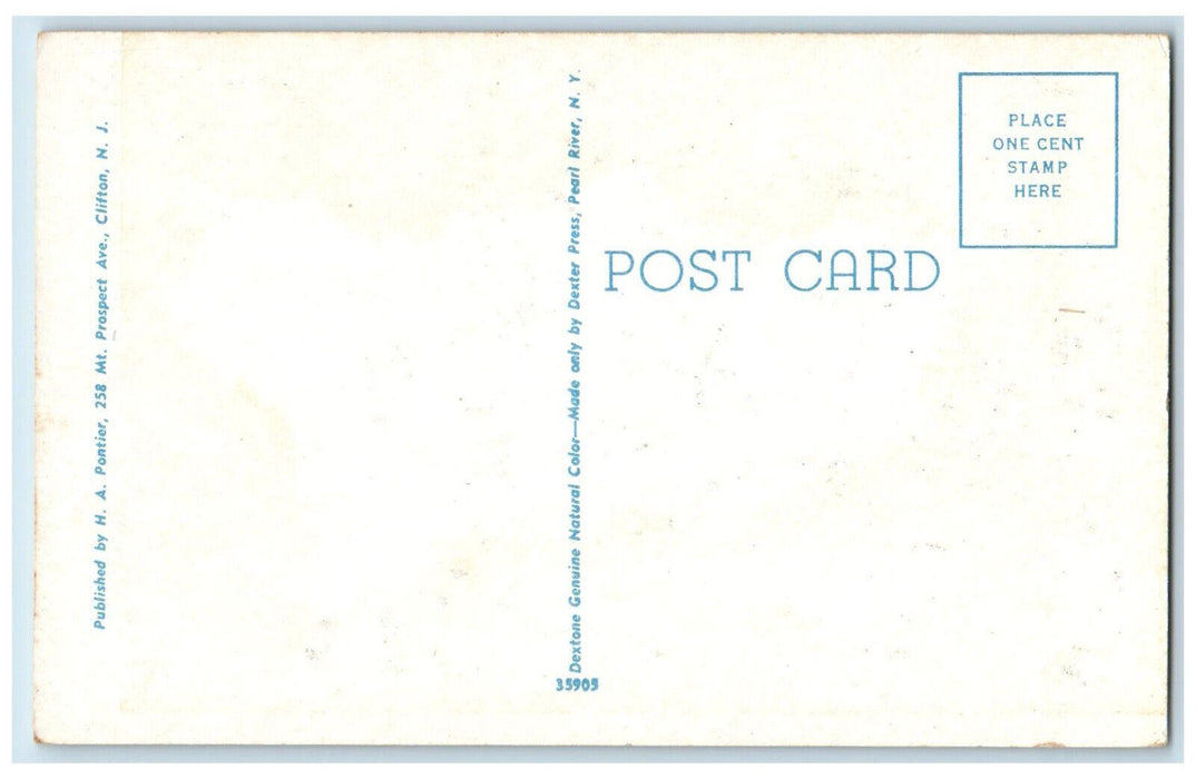 c1960's Trail Along Hudson River Palisades Section Interstate Park NJ Postcard
