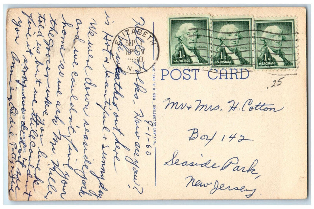 1960 Lagoon in Warinanco Park Elizabeth New Jersey NJ Vintage Postcard