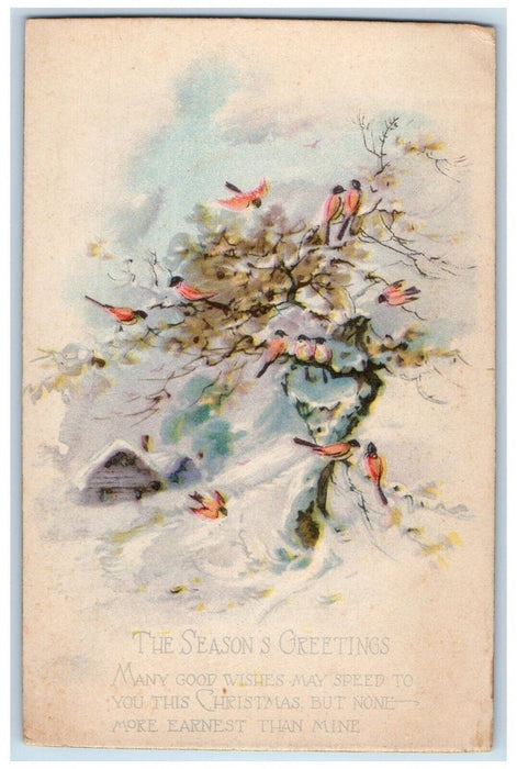 c1910's Christmas Season Greetings Song Birds Winter Snow Seal Embossed Postcard