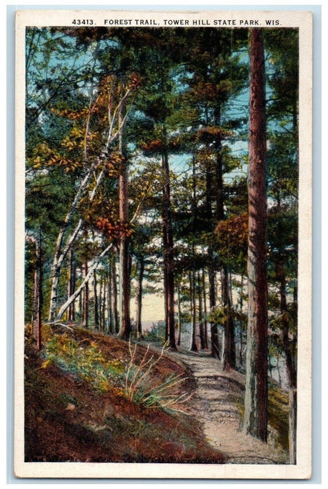 View Of Forest Trail Tress Dirt Road Tower Hill State Park Wisconsin WI Postcard