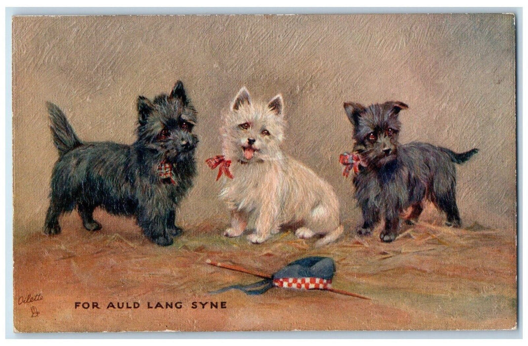 c1910's Christmas Three Cute Dogs Embossed Oilette Tuck's Antique Postcard