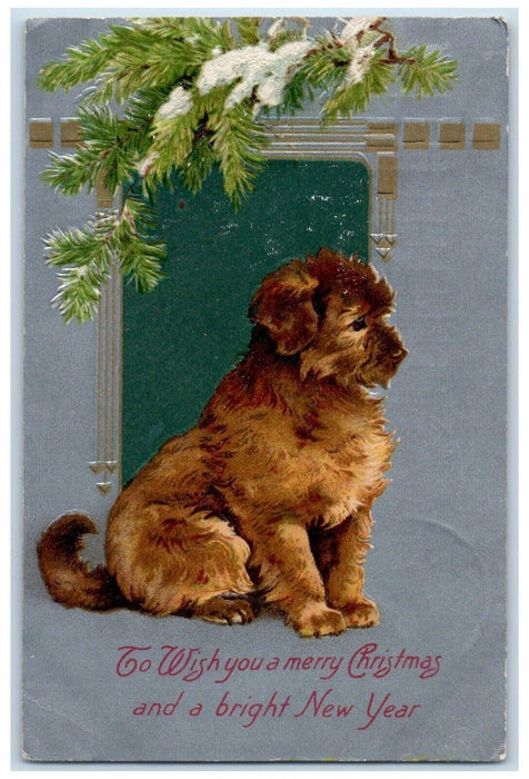 1907 Christmas And New Year Mutt Dog Pine Leaf Snow Embossed Antique Postcard