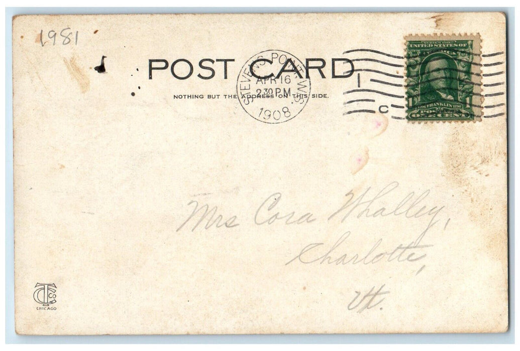 1908 State Normal School Exterior Scene Stevens Point Wisconsin WI Postcard
