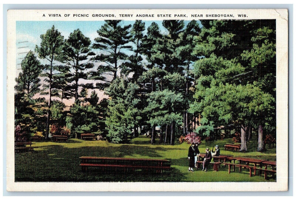 A Vista Of Picnic Grounds Terry Andrae Strate Park Near Sheboygan WI Postcard
