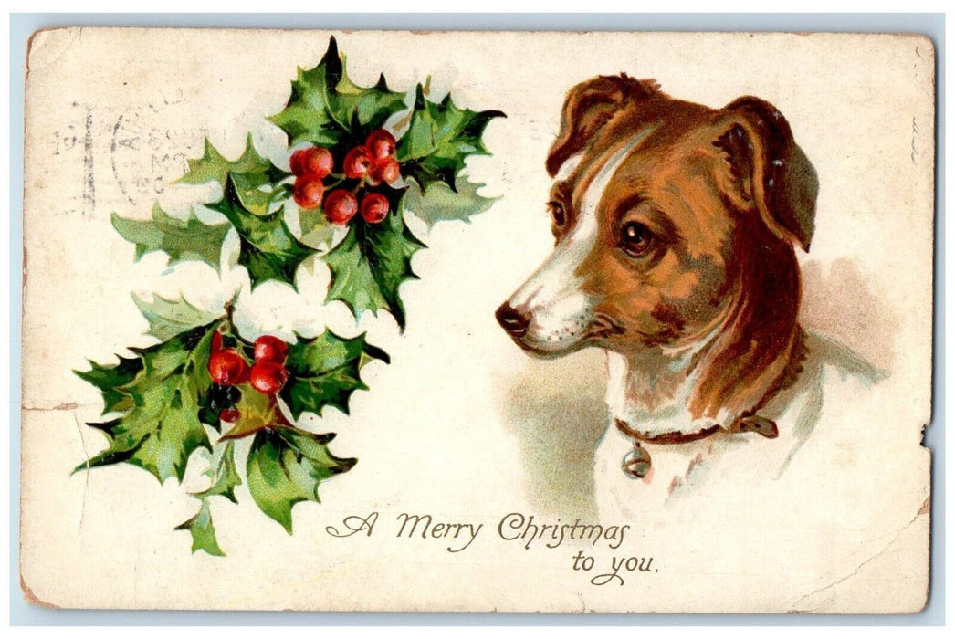 1909 Christmas Terrier Dog Holly Berries Philadelphia Pennsylvania PA Postcard