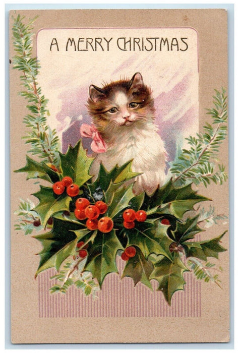 c1910's Christmas Cat Kitten Holly Berries Embossed South Hammond NY Postcard