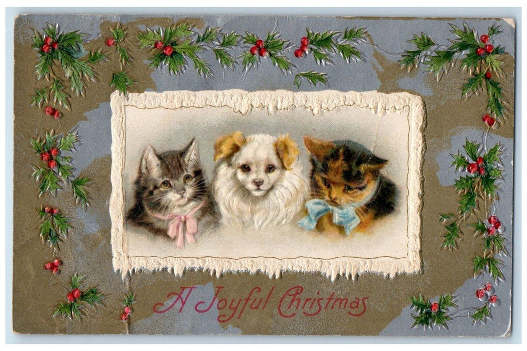 c1910's Christmas Cat Kittens Holly Berries Embossed Winsch Back Posted Postcard