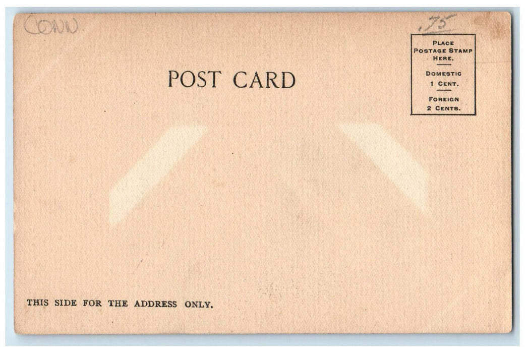 c1905 Vanderbilt Hall Yale University Connecticut CT Antique Unposted Postcard