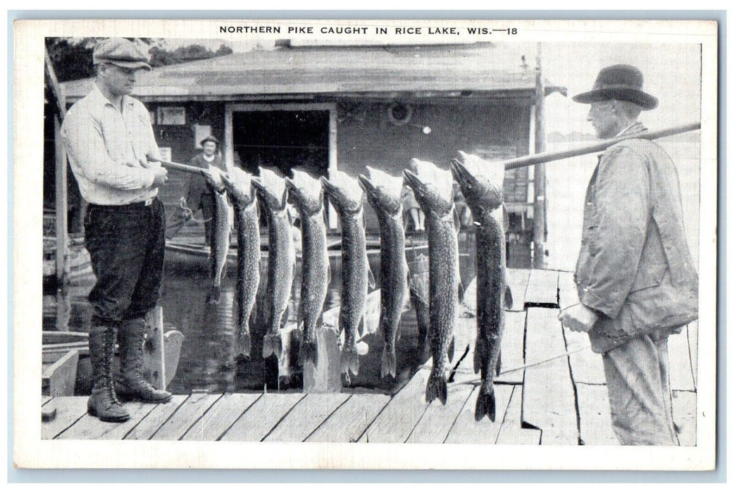 c1930's Northern Pike Caught In Rice Lake Wisconsin WI, Fishes Vintage Postcard