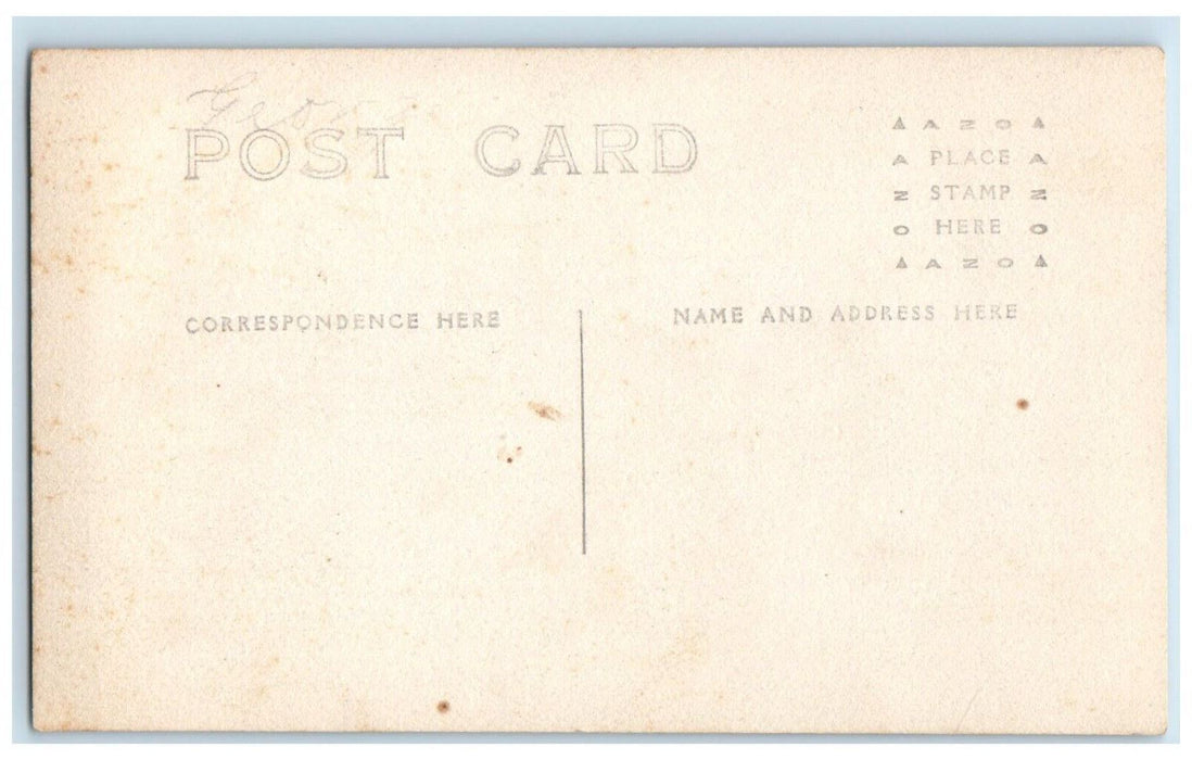 c1910's Horse Team Wagon DIrt Road Main Street Chautauqua NY RPPC Photo Postcard
