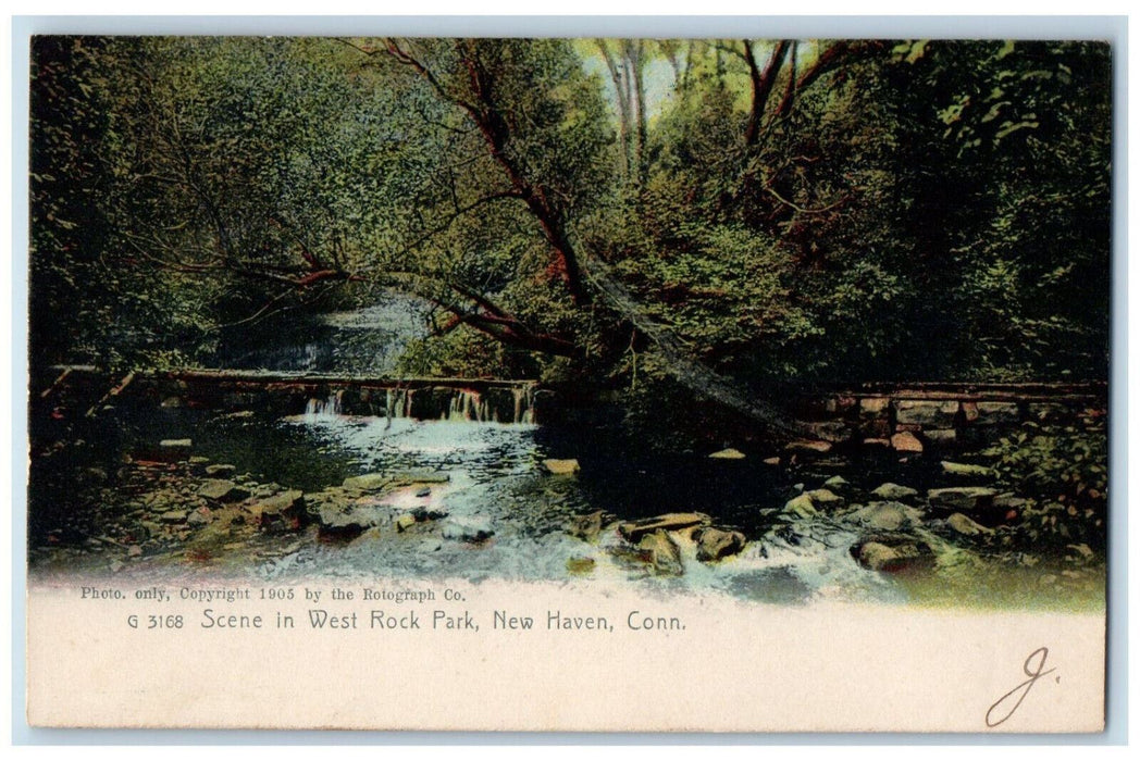 1909 Scene in West Rock Park New Haven Connecticut CT Antique Postcard