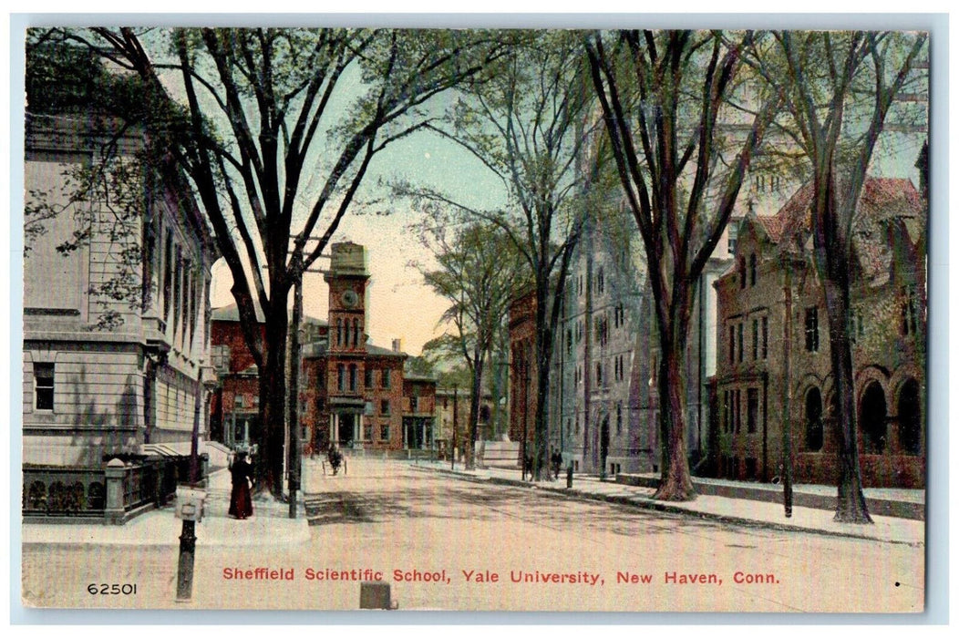 c1910 Sheffield Scientific School Yale University New Haven CT Antique Postcard