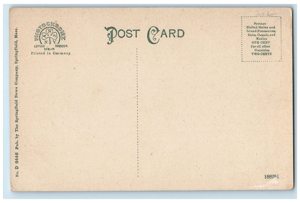 c1910 Park View Hotel Street Belchertown Massachusetts Vintage Antique Postcard