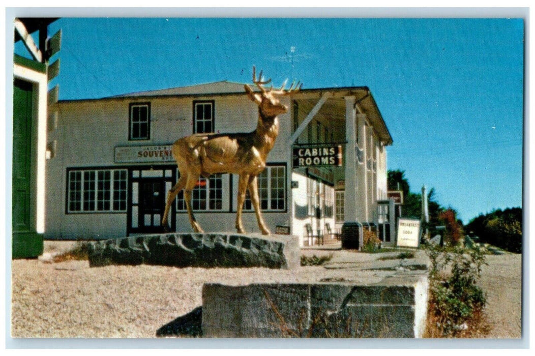 c1960 Jacob Ladder Summit House Deer Monument Becket Massachusetts MA Postcard