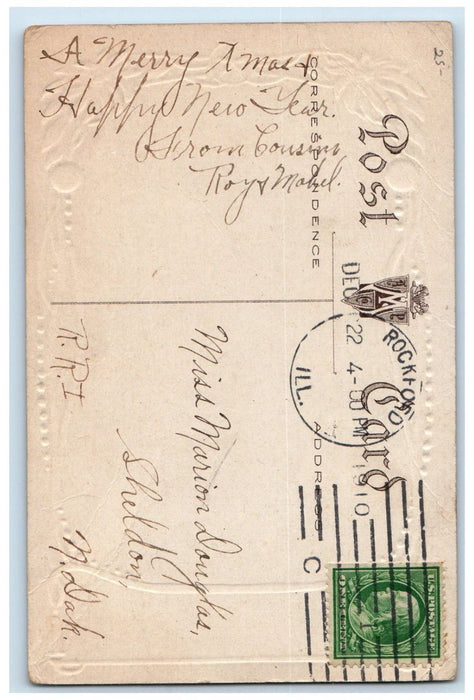 1910 Christmas Little Girl Dog Pudding Poinsettia Flowers Rockford IL Postcard