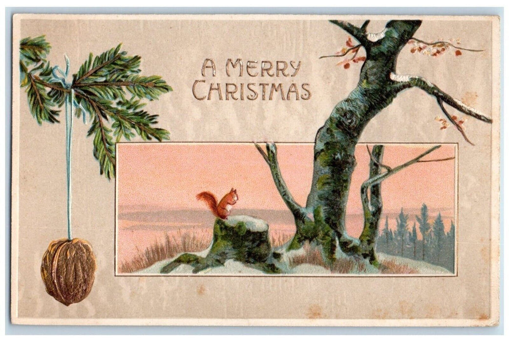 c1910's Christmas Squirrel Pine Leaf Nut Tree Winter Snow Embossed Postcard