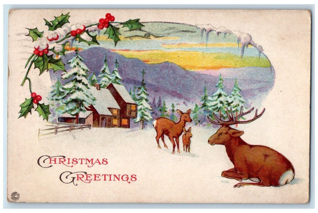 1917 Christmas Greetings Deer Holly Berries Pine Trees Winter Snow Postcard