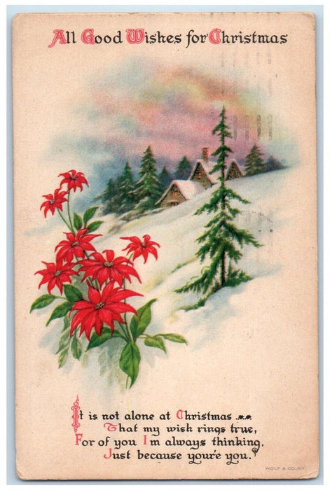 1921 Christmas Poinsettia Flowers Pine Tress Winter Snow Wolf Antique Postcard