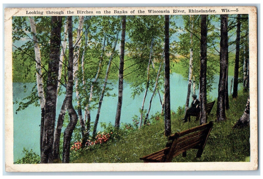 Looking Through The Birches On The Banks Wisconsin Rhinelander WI Postcard