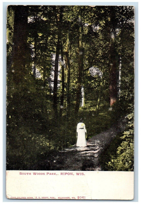 c1905 South Wood Park Ripon Woman Forest Scene Wisconsin WI Antique Postcard