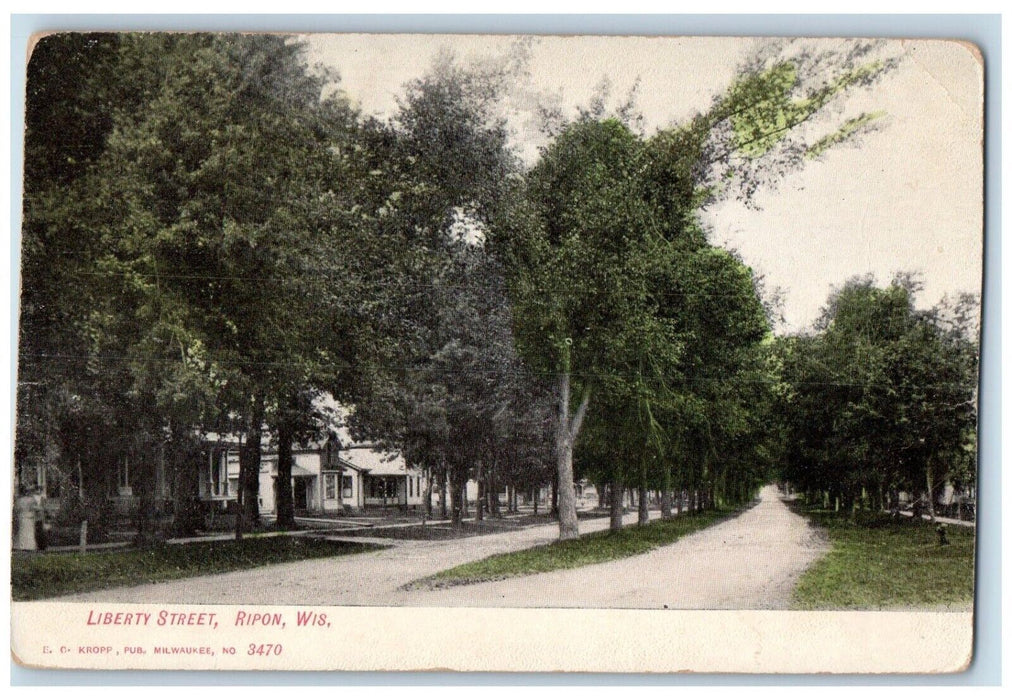 c1905 Library Street Trees Dirt Road Scene Ripon Wisconsin WI Antique Postcard