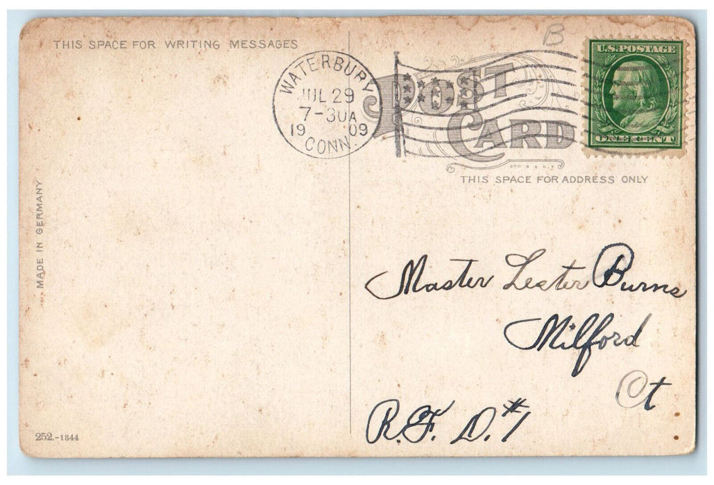 1909 Oak Tree Coming Through Rock Waterbury Connecticut CT Antique Postcard
