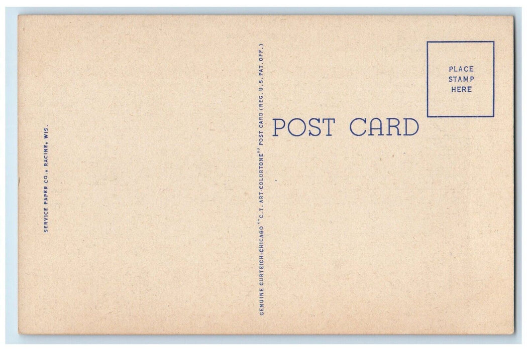 Lake Michigan From Top Of Court House Racine Wisconsin WI Vintage Postcard