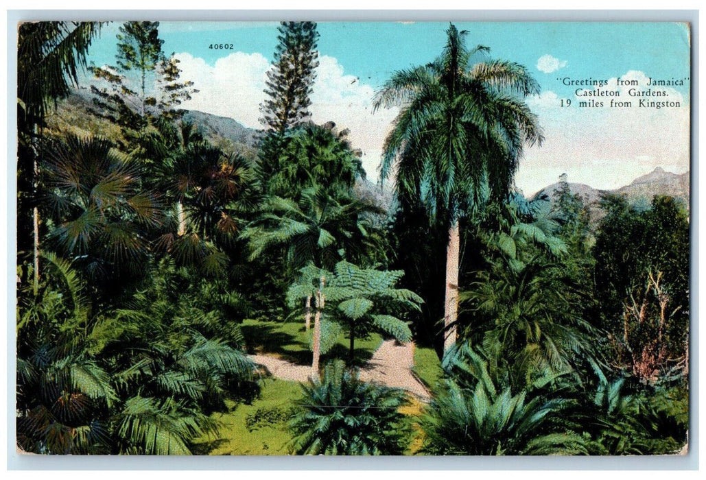 1935 Greetings from Jamaica Castleton Gardens 19 Miles from Kingston Postcard