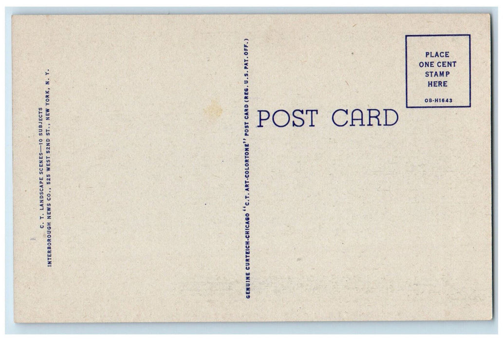 c1940's Trees Road Greetings from Jimmy's-Crystal Lake Rockville CT Postcard