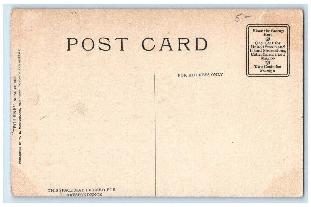 c1910 Piegan Indian Warrior Troilene Indian Series Buffalo New York NY Postcard