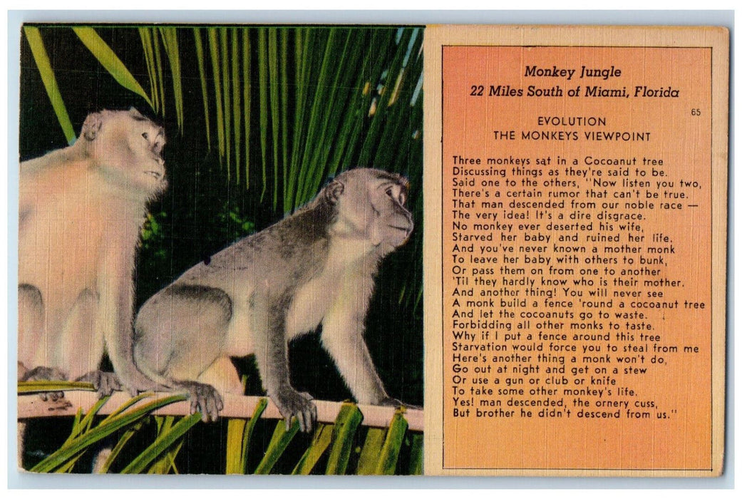 1950 Monkey Jungle Evolution 22 Miles South of Miami Florida FL Postcard