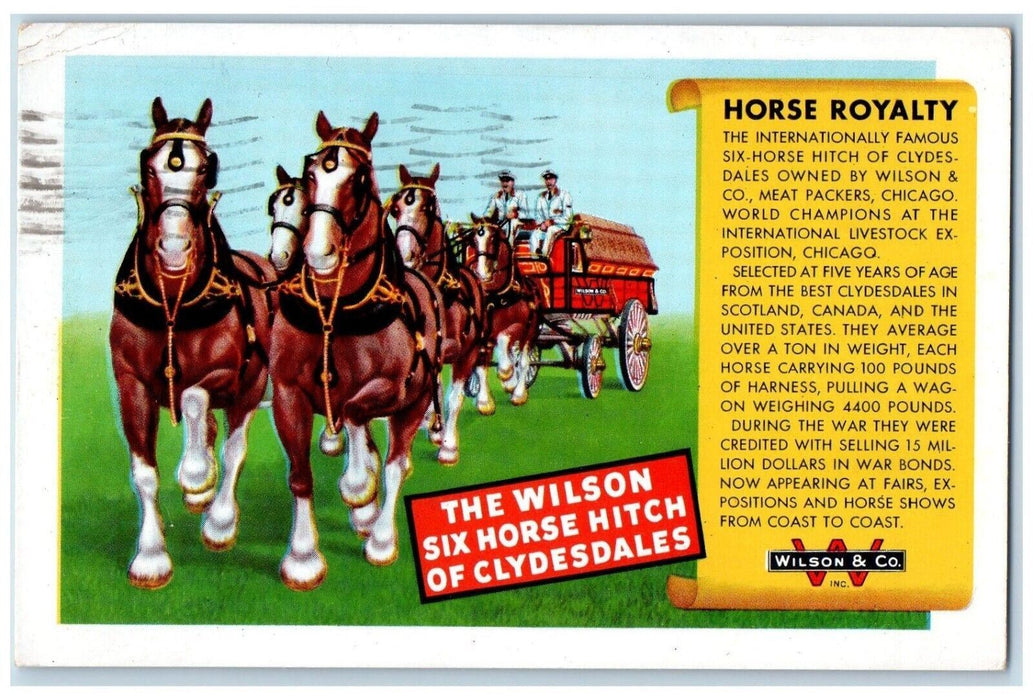1949 Wilson Six Horse Hitch Clydesdales Horse Royalty Schenectady NY Postcard