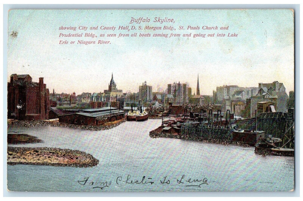c1905 Buffalo Skyline City County Hall Morgan Bldg Paul Church Niagara Postcard