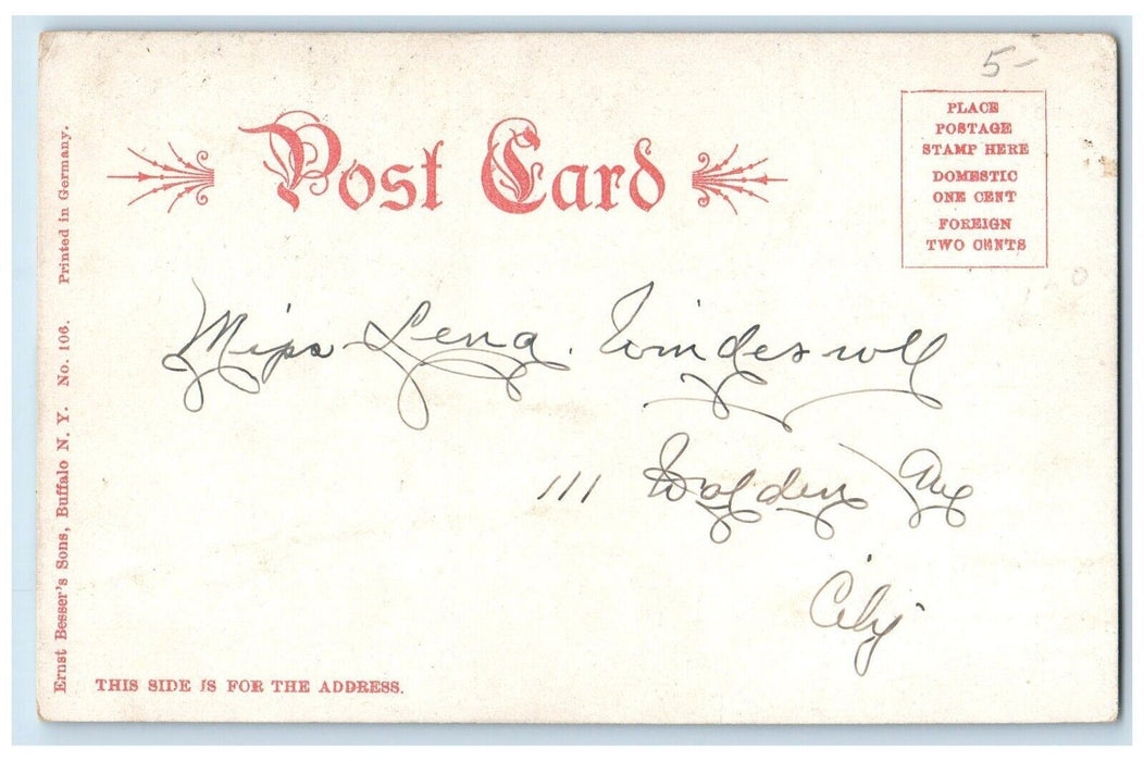 c1905 Buffalo Skyline City County Hall Morgan Bldg Paul Church Niagara Postcard