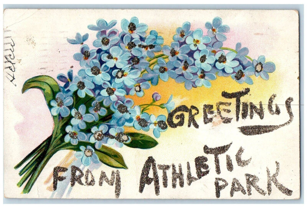 1906 Greetings From Athletic Park Buffalo New York NY Glitter Flowers Postcard
