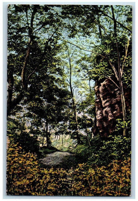 Old Military Road Nelson Dewey State Park Prairie Du Chien Wisconsin WI Postcard