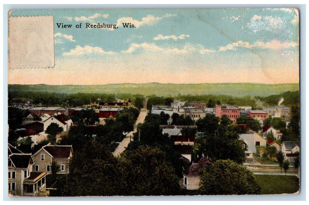 Bird's Eyer View Of Reedsburg Trees Street Scene Wisconsin WI Vintage Postcard