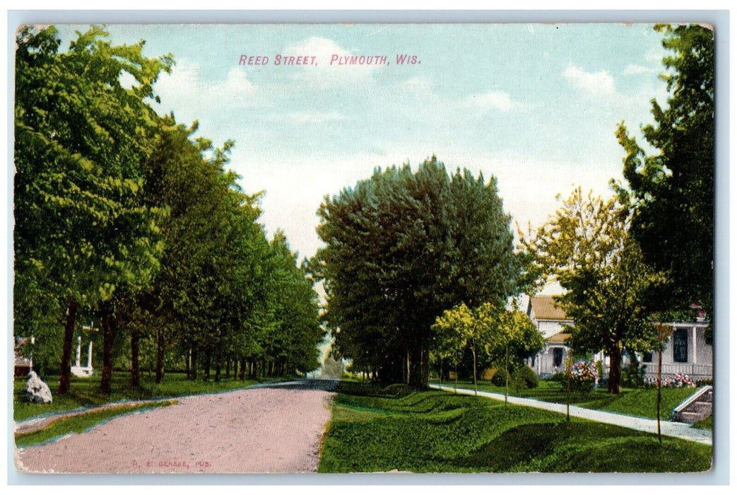 Reed Street Trees Dirt Road Scene Plymouth Wisconsin WI Vintage Postcard