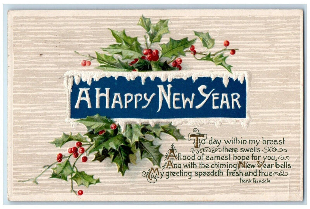 1912 New Year Holly Berries Winter Winsch Back Embossed Antique Postcard
