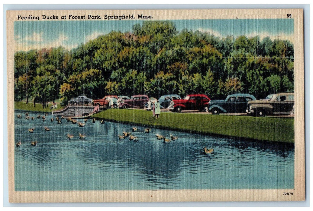 c1940's Feeding Ducks at Forest Park Springfield Massachusetts MA Postcard