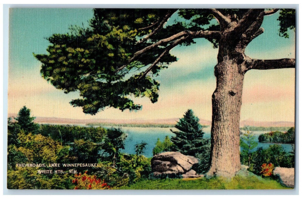 c1950's The Broads Lake Winnipesaukee White Mts. New Hampshire NH Postcard